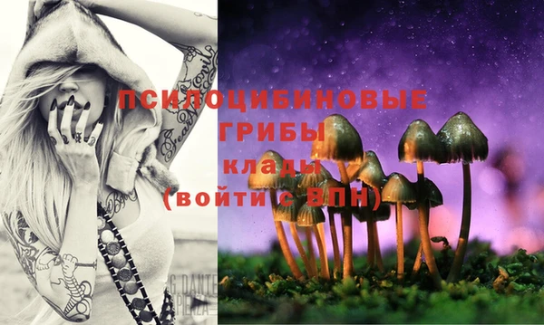 меф Кизел